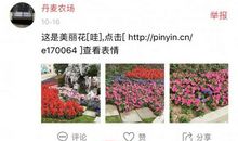 重阳节朋友圈祝福说说