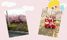 新时代女性励志语录