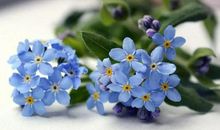 生活随心的句子