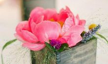 生活简单精致句子