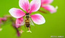 正能量激励走心文案