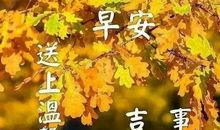 微信朋友圈说说早安