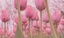 2020最火的句子 最新朋友圈个性说说