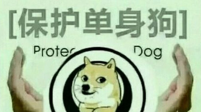 情人节祝福单只狗