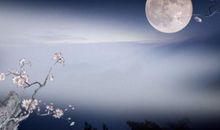 中秋节的古诗词手抄报内容