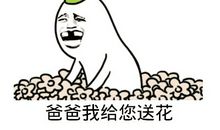 父亲节搞笑句子