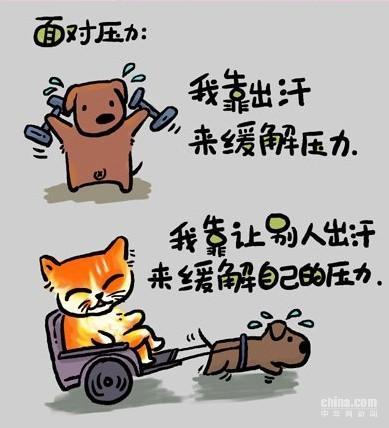 有趣而合理的人生格言