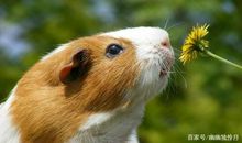 心情烦躁发朋友圈句子