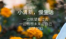 微信说说大全2020最新版的