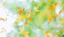 祝福友友开心的句子 给群友们的祝福语句