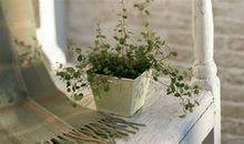 珍惜亲情的句子 珍惜亲情时光的句子