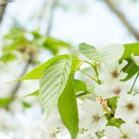 路遥关于家庭感情的一句话路遥关于家庭感情的经典一句话