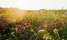 用开心快乐的写句子有哪些 用开心写一句话怎么写