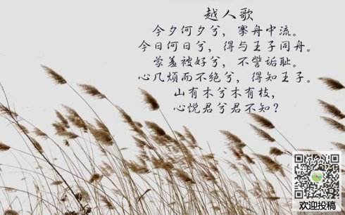 抒情诗歌