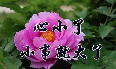 我爱你最美的一句话