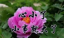 最爱最动听的爱你的句子