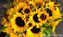 积极向上乐观的朋友圈句子