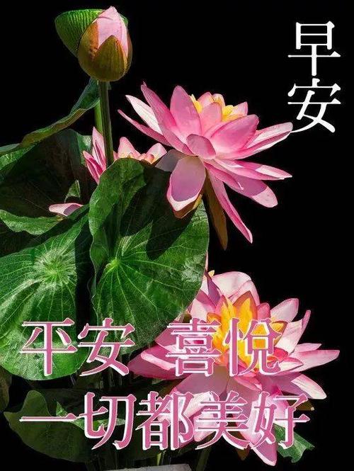 早上的祝福