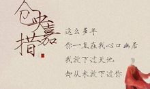 妻子的幸福生活语录