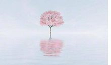 周末发朋友圈好句子