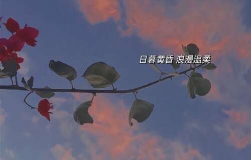 人生苦短，珍惜当下的话题