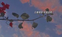 一生很短珍惜当下的说说