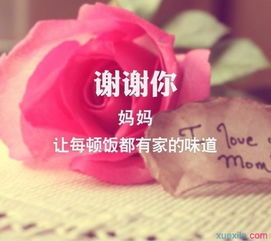 有趣的谈论花