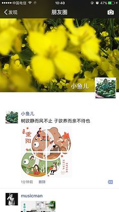 可以在瞬间发表有关重阳节的漂亮句子