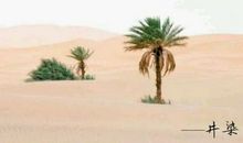 励志勇敢的句子