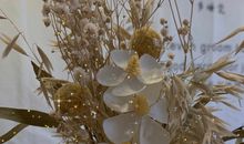 关于冬天的温柔文案 冬天可爱的暖心小句子