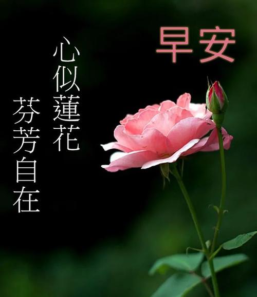 早晨最热烈的祝福