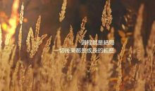 女人励志语录正能量