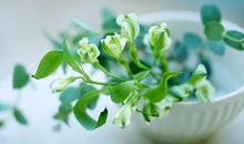 描写开心的句子 描写心情开心的短句子