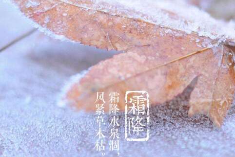 弗罗斯特节时刻的句子