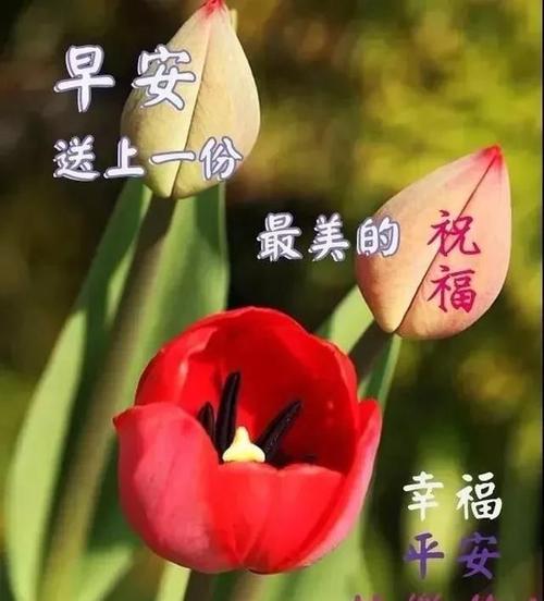 给红包人的祝福1