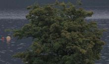 突然间看透一切的说说