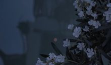 熬过最难最经典的语句