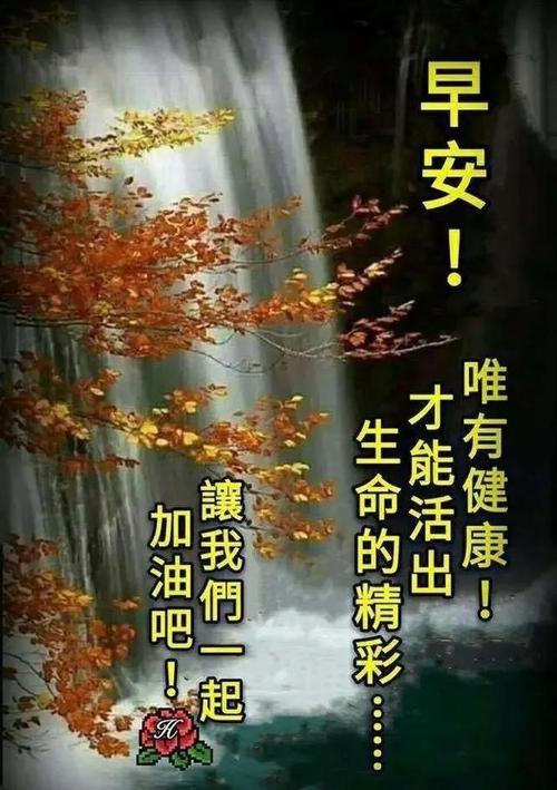 早上给女友的感人的话