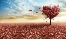 早上和情人问好的短信