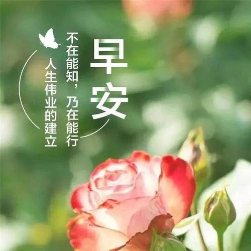鼓励女孩