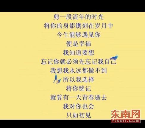 向女孩表白