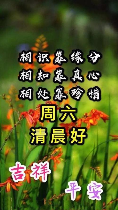 友谊的早晨的祝福
