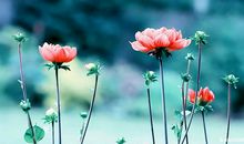 美丽的句子人生感悟,人生感悟优美的句子