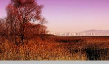 冬天的早晨说说