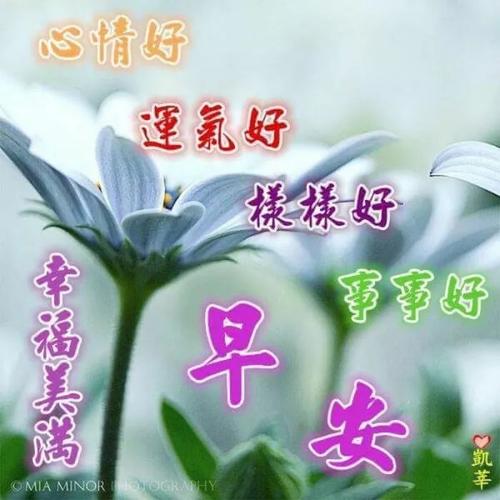 周末早安问候