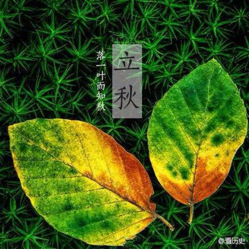 立秋的祝福