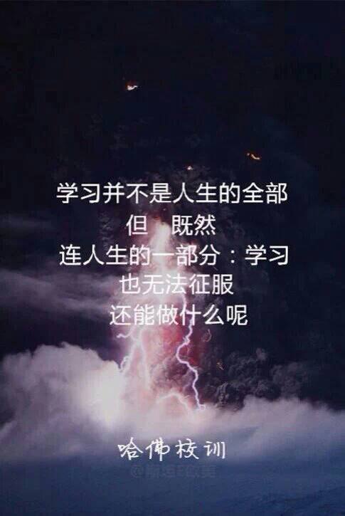 搞笑爱情宣言