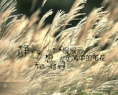 关于孤独的简短话