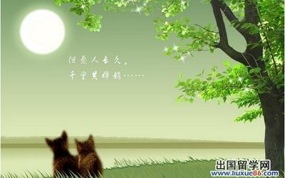 情人错过和关心短信
