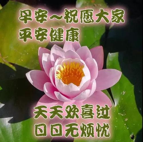 秋季问候和客户服务